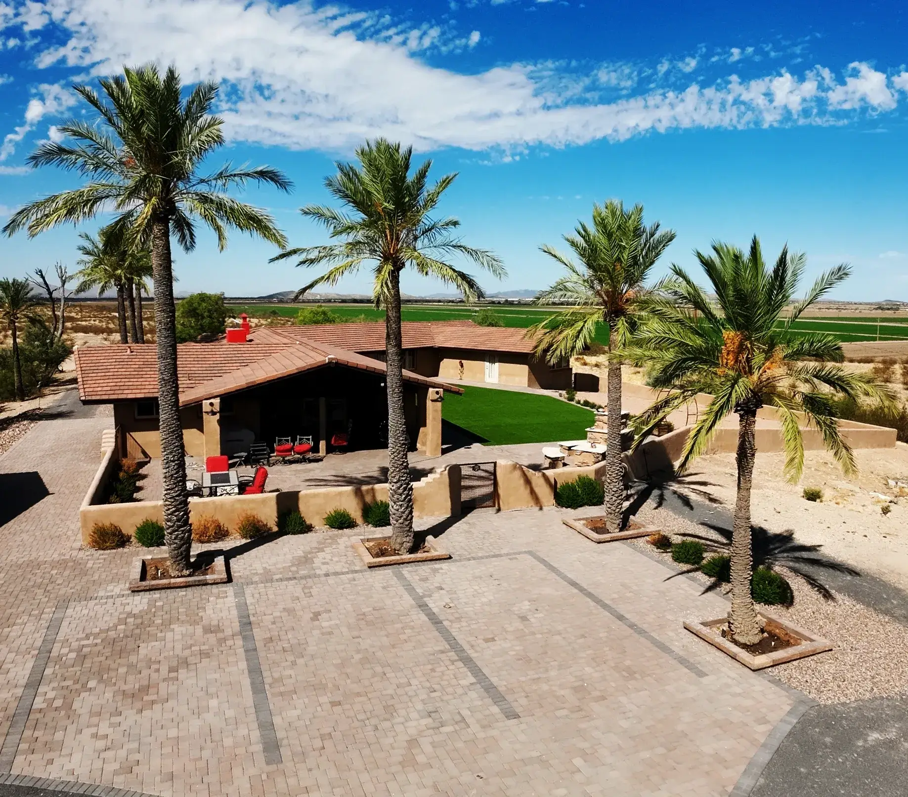 A large palm tree is in the middle of a yard.